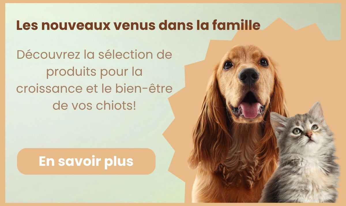 Farmaè - Les meilleures marques pour la santé et le bien-être
