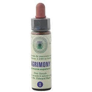 Fleurs de Bach 33 gouttes 10 ml Olive