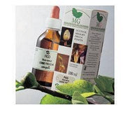 Macerat de bourgeons de tilleul argenté 100 ml