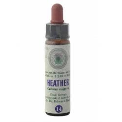 Fleurs de Bach 21 gouttes 10 ml Moutarde
