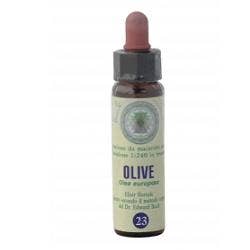 Fiori Di Bach 33 Gocce 10ml Olive
