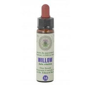 FIORI DI BACH 38 WILLOW GTT