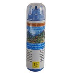 PUMIL OE PINO PUMILIO 10ML