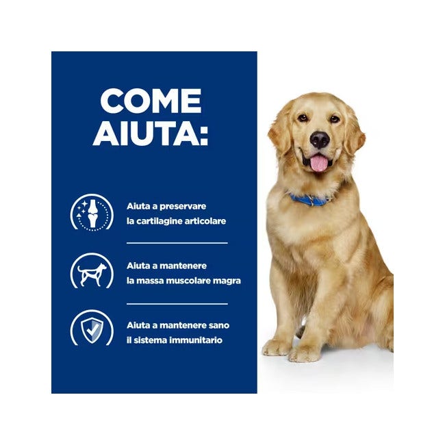 Hill's Prescription Diet J/D Mobility Crocchette Per Cani Adulti Sacco 1,5kg