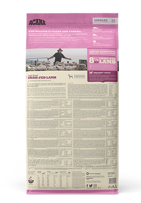 DYNAMO L SMALL 20 sachets de 2