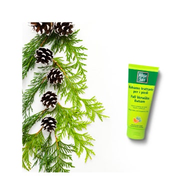 AllgaSan Balsamo Crema Al Pino Mugo E Arancia Per Piedi Secchi 100ml