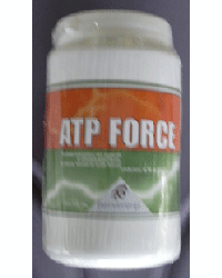 ATP FORCE POLVERE PESCA 300G