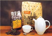 Argile verte 100 g