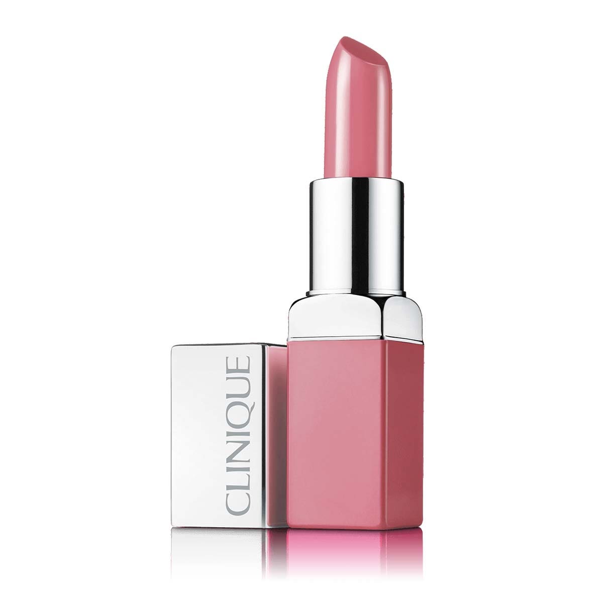 Drn Solo Saumon Aliment diététique monoprotéique humide Chiens/Chats 100 g