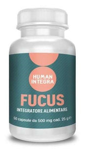 FUCUS ABROS 50CPS