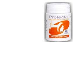 Longlife Glutamine 100 gélules