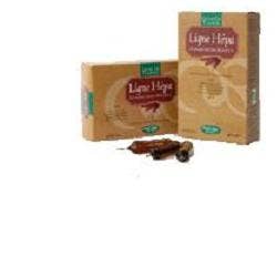 LIGNE ART BIO 20 AMPOULES 15 ML