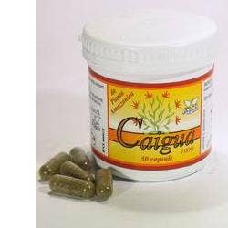 I 31 Huiles Krauterol 100 ml