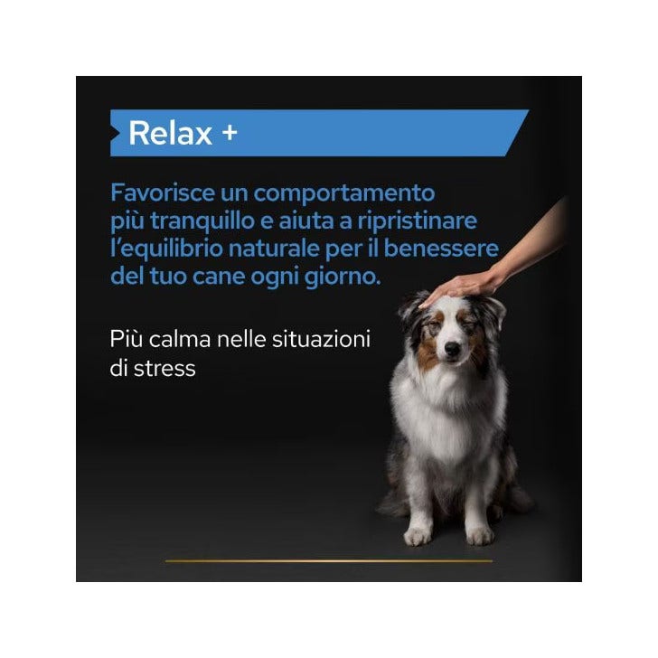 Purina Gourmet Gold Pâté au poulet, aux carottes et aux courgettes pour chats, boîte de 85 g