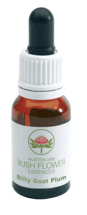 Essences de fleurs du bush australien Boronia Gouttes 15 ml