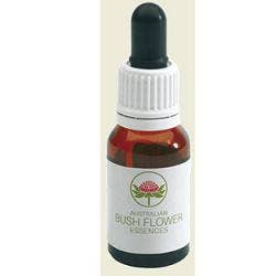 Spinfex Australian 15 ml Gouttes
