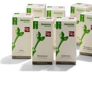 ARBUSTIFOLLE 100ML MG