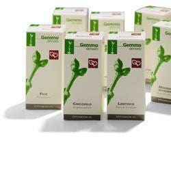 KIWI 200ML MG