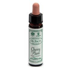 AINSWORTHS CRAB APPLE 10ML