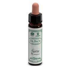 Ainsworths n°29 Star Of Bethlehem Dr. Bach 10 ml