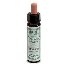 AINSWORTHS CHEVÉREULE 10ML
