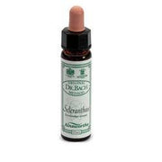 ELUTTUARIO CALDO 30ML ASTRUM