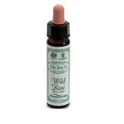 AINSWORTHS WILD ROSE 10ML