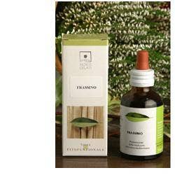 Cassis Bio 50 ml Stv