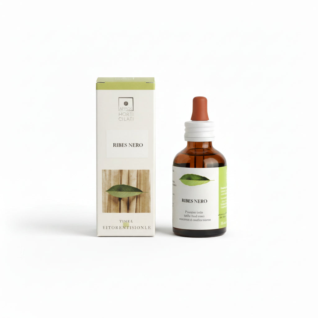 Ribes Nero Bio 50ml Stv