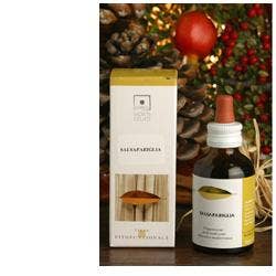 ÉRABLE DES CHAMPS 50ML STV