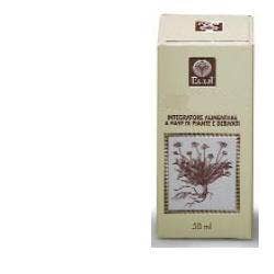 Galatine Chocolat 50 g