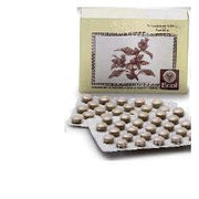LVS 24N MELILOTUS OFF COMP