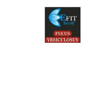 LOCHERBER FLUIDE POUR HOMMES 50ML