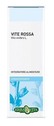 Solimè Artichaut TT Tisane 100 g