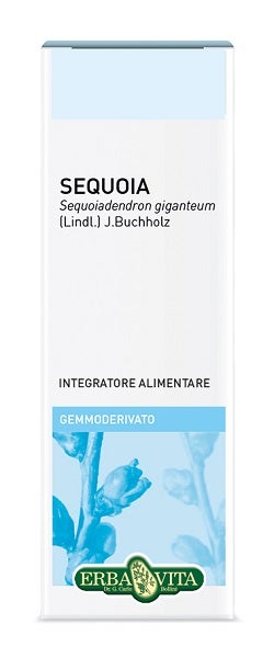 Curcuma RDX TT 100 g