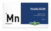 VITAOLIGUM MANGANÈSE 20F