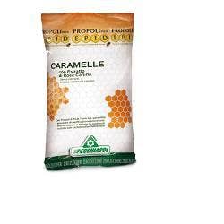 Argile verte superventilée 3 kg