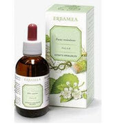 Erbamea Ginkgo Biloba, extrait hydroalcoolique, 50 ml