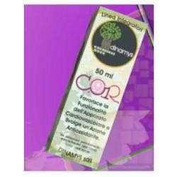 Extrait total de cassis 100 ml