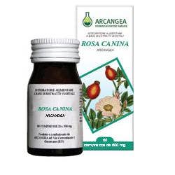 Pansement Icopiuma Classique Mix 40 pièces