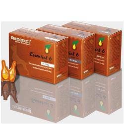 BODY LIPO NOISETTE 4 L
