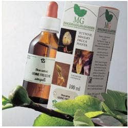 Over Line Shampooing sec liquide pour chiens/chats 250 ml