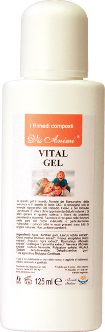 FM Italia Bande Vet-Flex Bleue pour Chevaux 10cmx4
