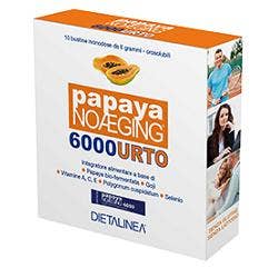 Bechiol Flu 12 sachets Stick Pack