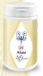 ALATO 25 ACÉTYL-L-CARNITINE 100 gélules