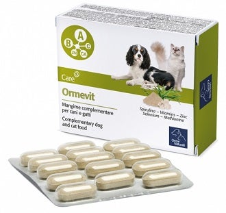 Why Sport Magnésium Potassium 10 sachets