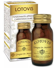 LOTOVIS 100PAST
