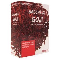 Bio Bijoux Boucle d'oreille Xirius 5