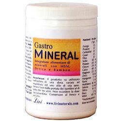 GASTROMINERAL POUDRE 250 g