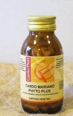 Valverbe Tisane à la grenade 20 sachets